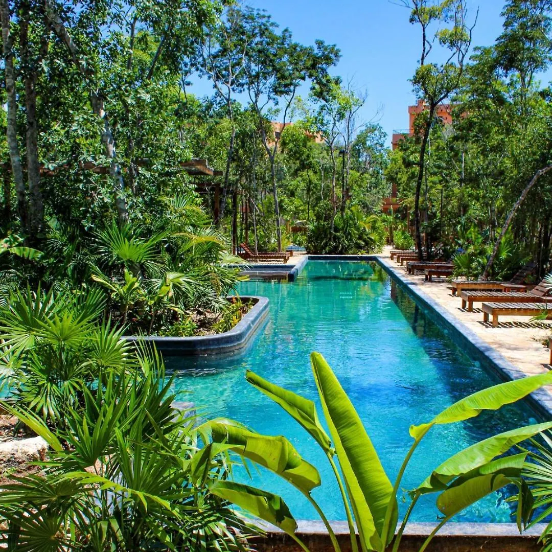 Lejlighed Estudio Completo En La Selva Tulum